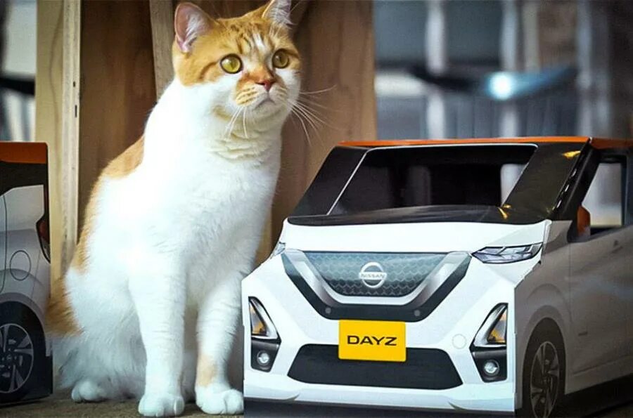 Котики машины фото Nissan сделал самую милую рекламу авто в виде домиков для котов