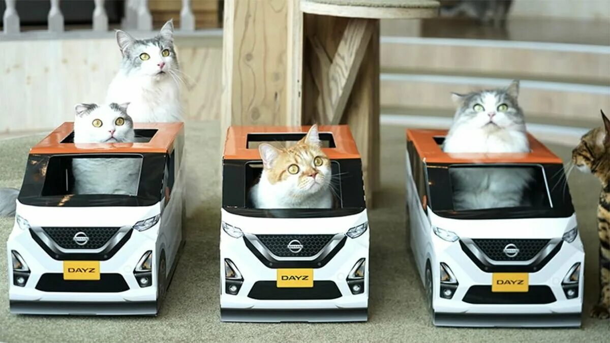 Котики машины фото Автоновости про Nissan Dayz - последние новости авторынка в Журнале Авто.ру