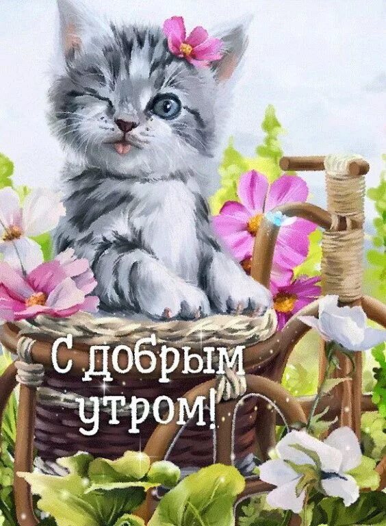 Котики милые доброе утро картинки красивые Пин на доске Иллюстрации к моим книгам Котенок, Доброе утро, Слезы радости