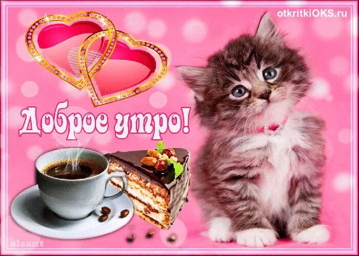 Котики милые доброе утро картинки красивые Прикольная открытка доброе утро для друзей! скачать бесплатно Доброе утро, Милые