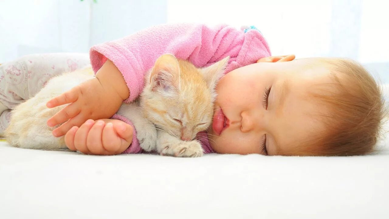 Котики милые фото малыши Lullaby for Babies To Go To Sleep: Sleep Music for Babies, Baby Songs Get Baby t