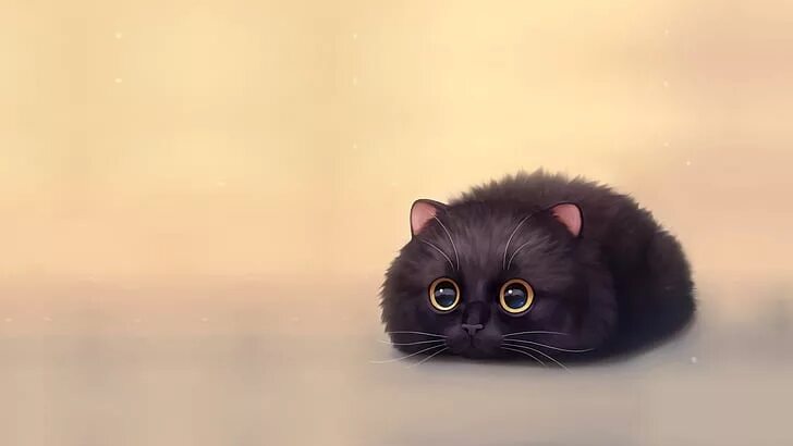 Котики милые фото на обои на телефон Chiakiro 1080P, 2K, 4K, 5K HD wallpapers free download Wallpaper Flare