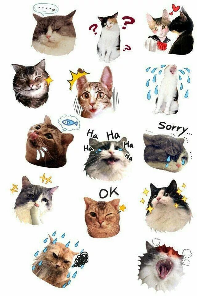 Котики милые фото стикеры Пин от пользователя sharon fudge на доске stickers nice Каваи, Рисунки, Милые ко