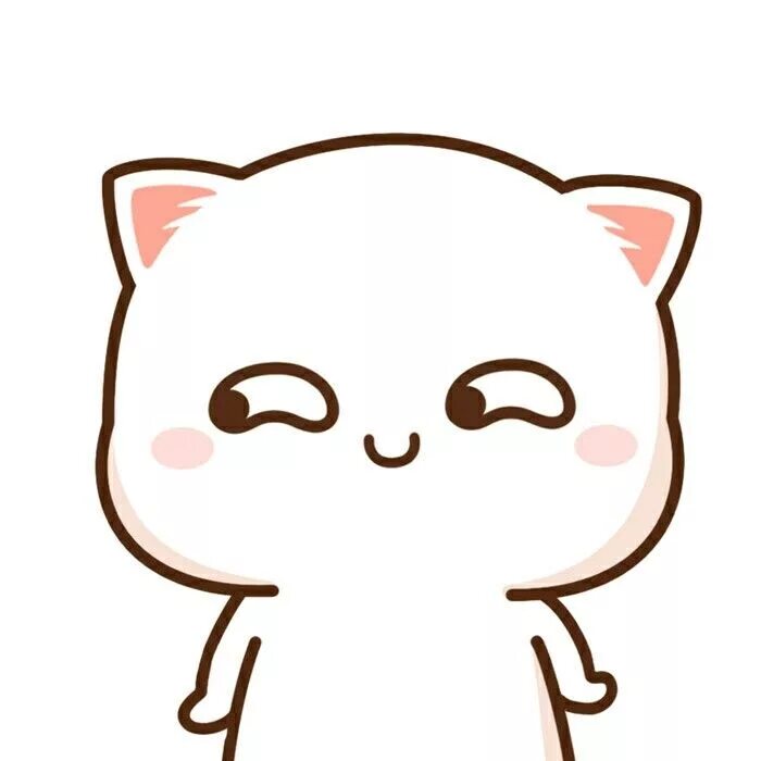 Котики милые фото стикеры Ghim trên Kawaii Ảnh tường cho điện thoại, Halloween make, Mèo kitty