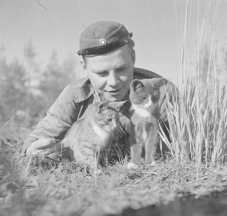 Котики на войне фото Finnish soldier playing with kittens. http://zveri_zveri.livejournal.com/ http:/