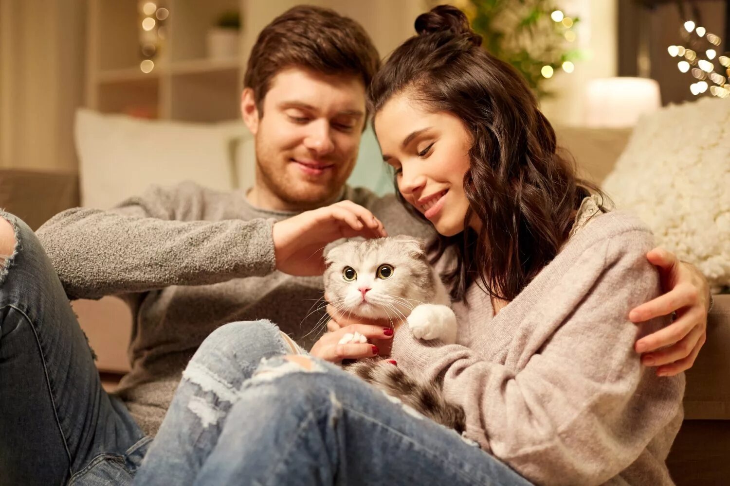 Котики парой фото 5 пород кошек, притягивающих удачу и достаток в дом