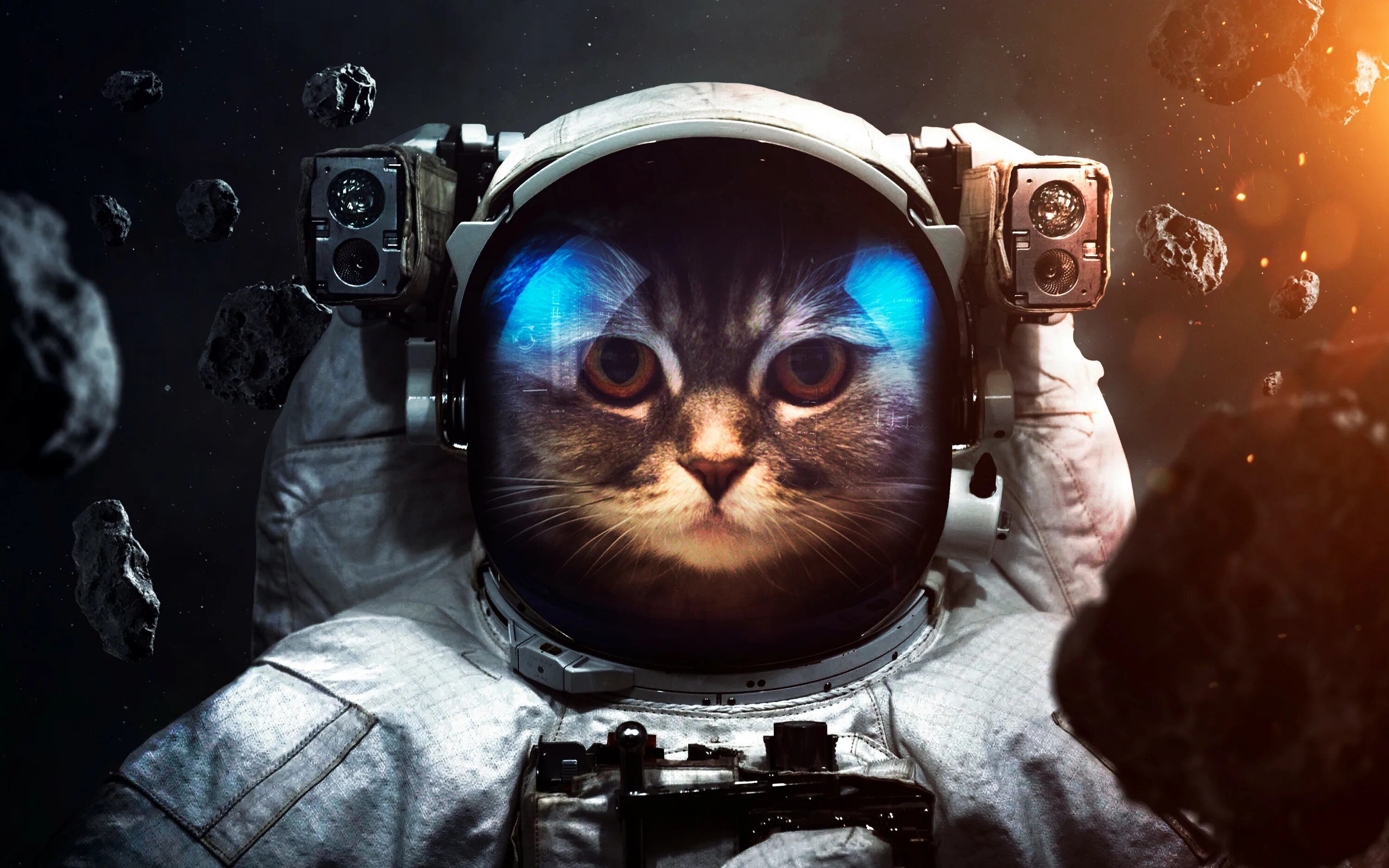 Котики в космосе фото Vadim Sadovski - Catstronaut