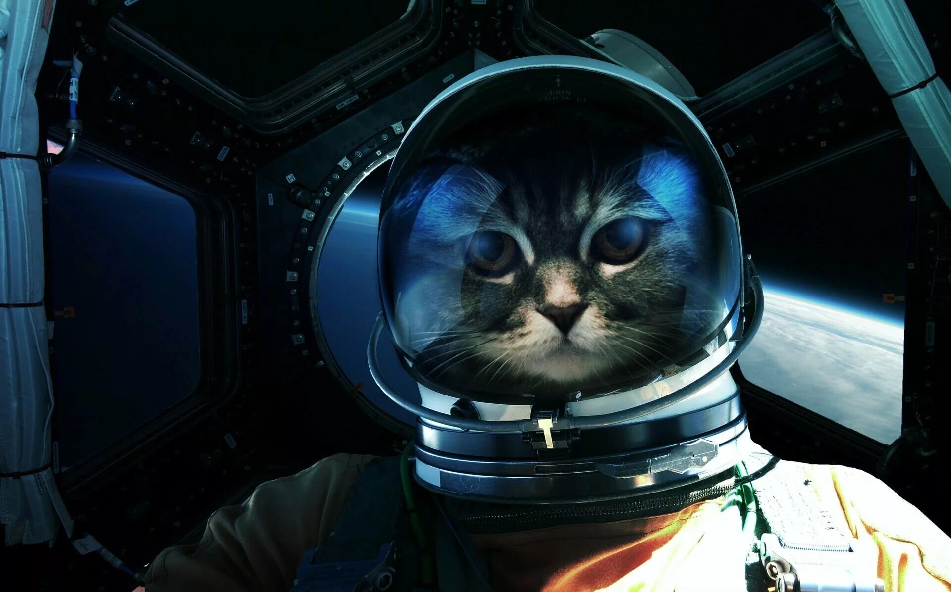 Котики в космосе фото #Astronaut #Space #Uzay #Cosmos #Galaxy #Drawing #Art #Illustration Amazing Foll