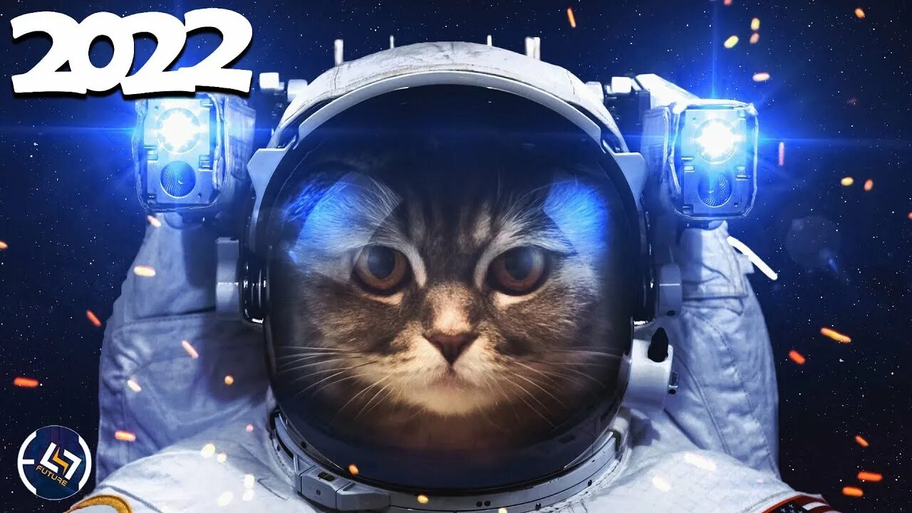 Котики в космосе фото Best EDM Gaming Music Mix 2022 ♫ Remixes of Popular Songs ♫ Bass, Dubstep, DnB, 