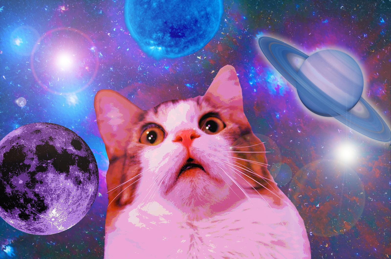 Котики в космосе фото Любимые композиции Iwnt2baFUZZYCAT Last.fm