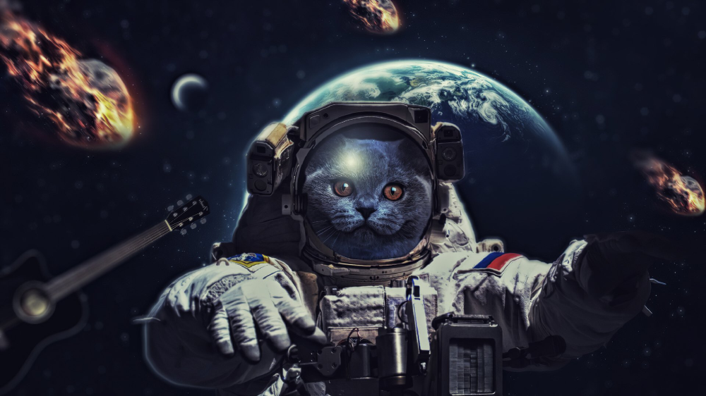Котики в космосе фото Ciencia ficción Astronauta Gato Espacio Fondo de Pantalla Cartoon wallpaper hd, 
