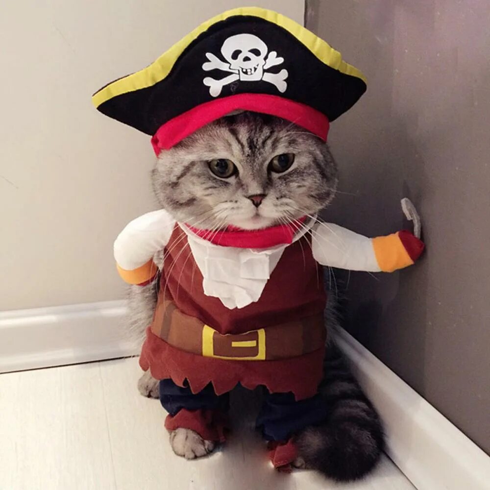 Котики в костюмчиках фото Рождественские забавные пиратские костюмы котенка Одежда для косплея в карибском