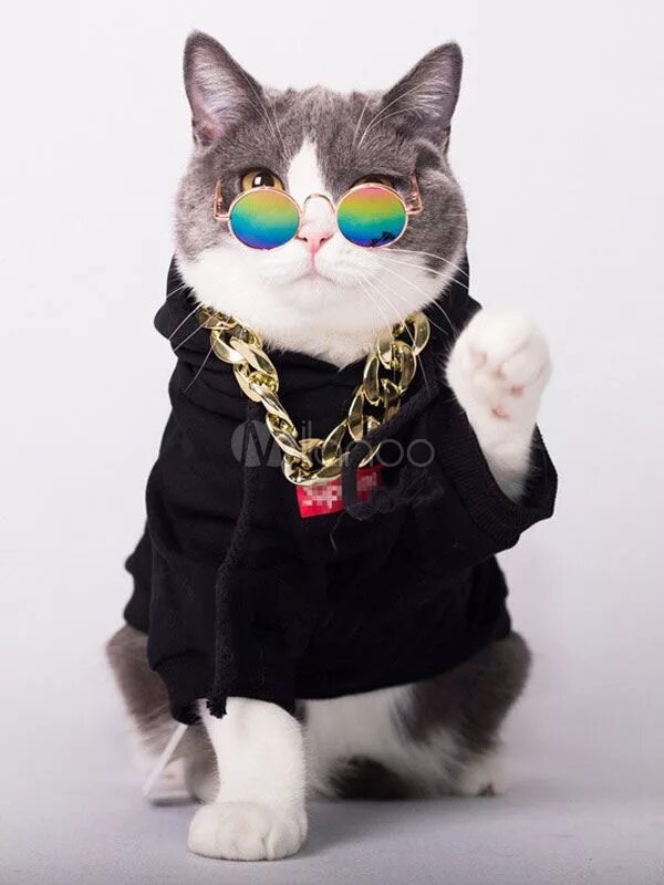 Котики в костюмчиках фото Cat Black Top Halloween Costume Dieren grapjes, Grappige katten, Schattige diere