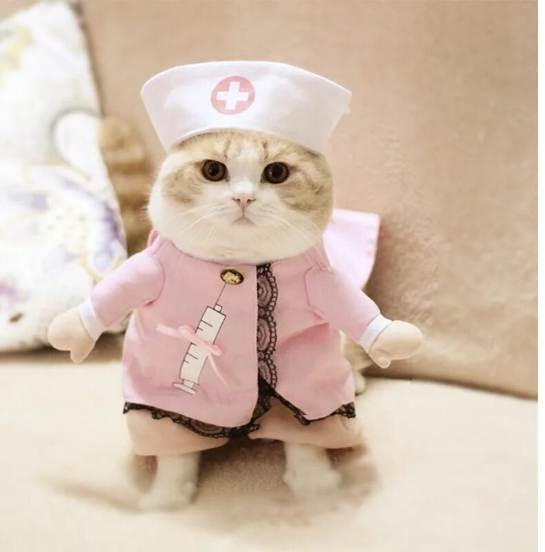 Котики в костюмчиках фото Креативные причудливые аксессуары для костюмов собак и кошек - купить с доставко