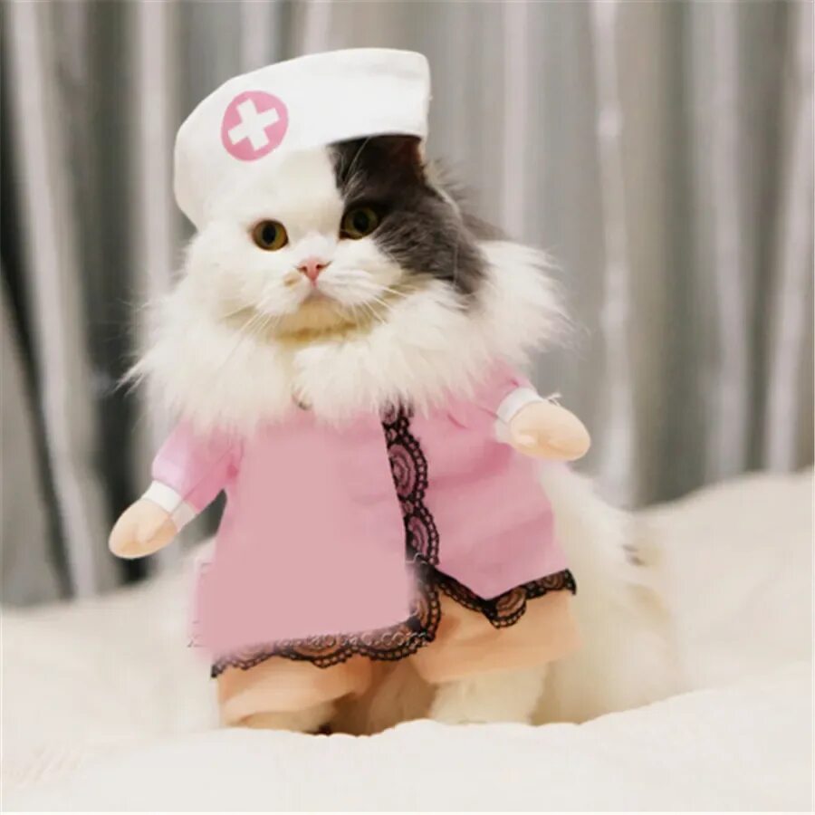 Котики в одежде фото Pet Supplies Cat Pet Coats Clothing For Pets Trempelya Clothing For Domestic Cat