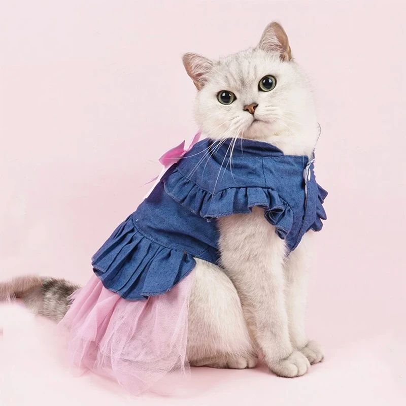 Котики в одежде фото Одежда для домашних животных на весну и лето, платья из денима для кошек и щенко
