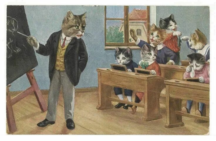 Котики в школе фото school l928 thiele Vintage cat, Cat playing, Cat art
