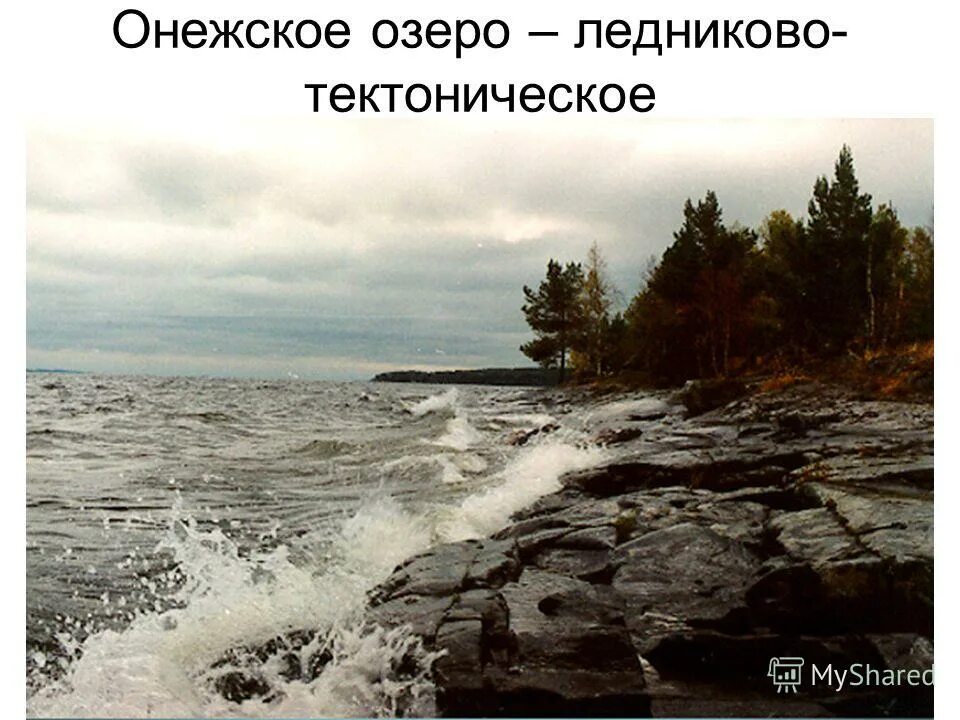 Котловина ладожского озера фото Котловина ладожского озера фото YugNash.ru