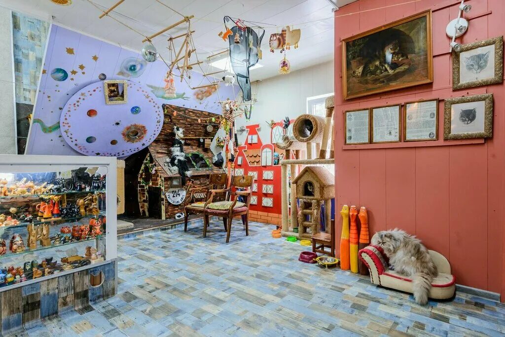 Котмузей ул пушкина 6 фото Кошки, музей, Колтушское ш., 214, Всеволожск - Яндекс Карты