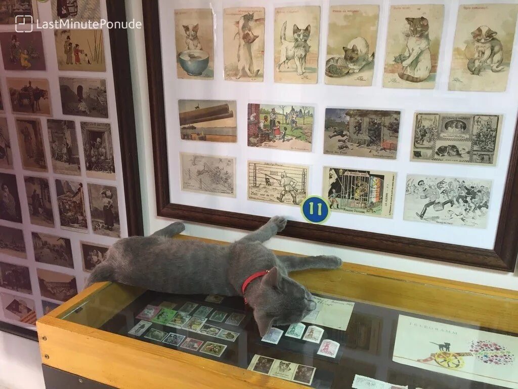 Котмузей ул пушкина 6 фото Kotor 2020: Hotel Huma Kotor Bay 5* - FIRST MINUTE!