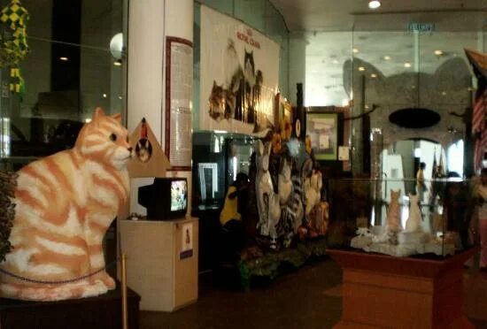 Котмузей ул пушкина 6 калуга фото Cat Museum - Picture of Cat Museum, Kuching - Tripadvisor