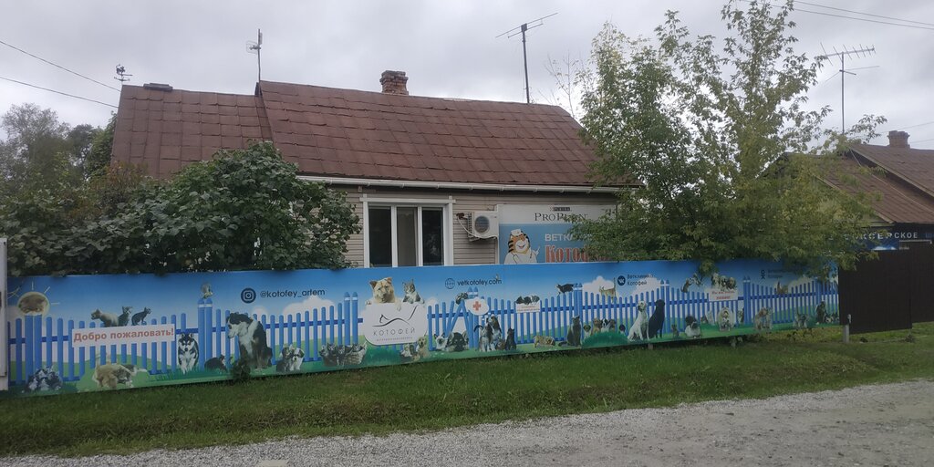 Котофей 2 я западная ул 1а фото Kotofey, veterinary clinic, Artyom, 1-ya Zapadnaya ulitsa, 6 - Yandex Maps