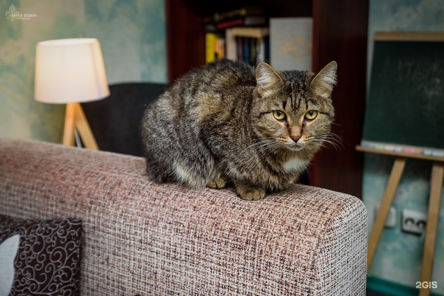 Котофей ул евтеева 4 челябинск фото Котофей, антикафе, Евтеева, 4, Челябинск - 2ГИС