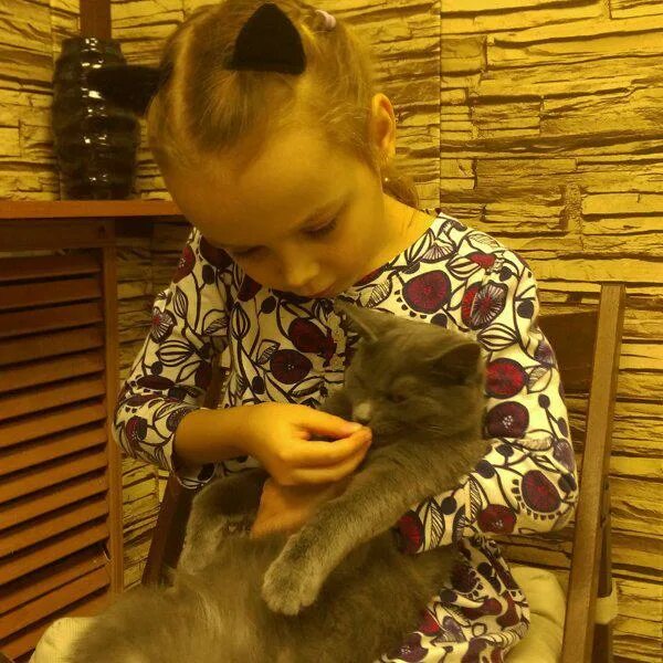 Котофей ул евтеева 4 челябинск фото Фотографии компании Котофей, антикафе в Челябинске на Евтеева, 4