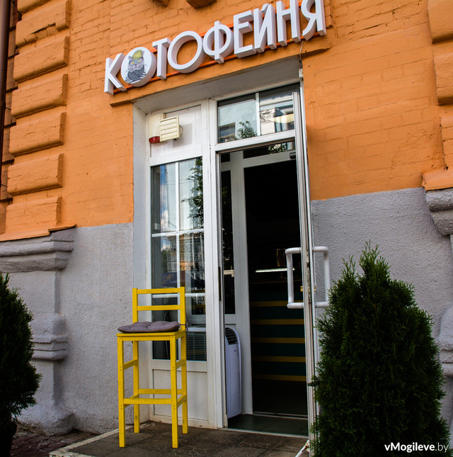 Котофейня комсомольская ул 49 фото Котофейня - Азимут Тур