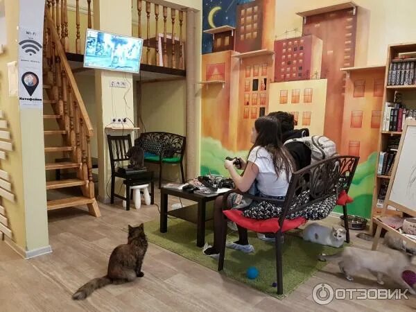 Котофейня октябрьская ул 34а фото Отзыв о Кафе "Котофейня" (Россия, Москва) Давно хотели зайти во что-то подобное