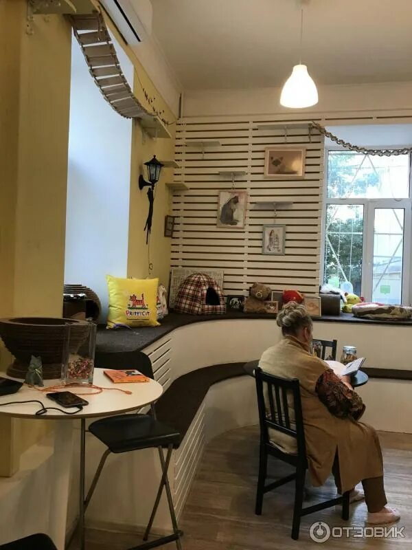 Котофейня октябрьская ул 34а фото Отзыв о Кафе "Котофейня" (Россия, Москва) Благотворительное кафе