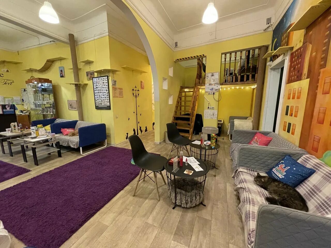 Котокафе котофейня ул земляной вал 32 фото anticafe's Котокафе Котофейня in specifics, Maroseyka Street, 10/1с1 - Yandex Ma