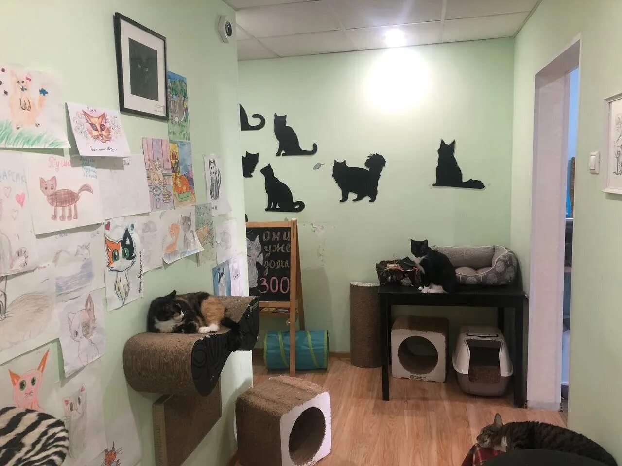 Котокафе котовский монастырская ул 14 фото Котокафе ул гиляровского 17