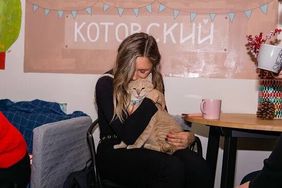 Котокафе котовский монастырская ул 14 пермь фото Котокафе "Котовский", Пермь - фото ресторана - Tripadvisor