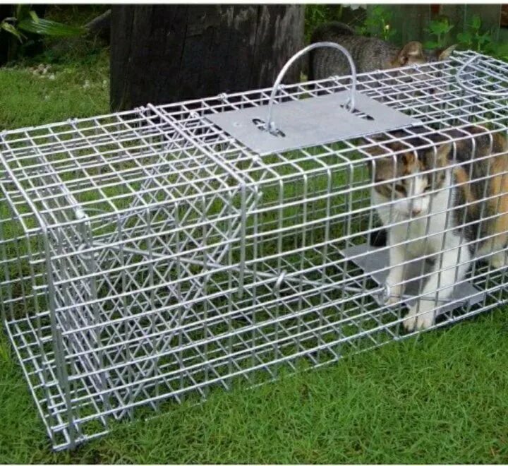 Котоловка для кошек фото Неактивно
