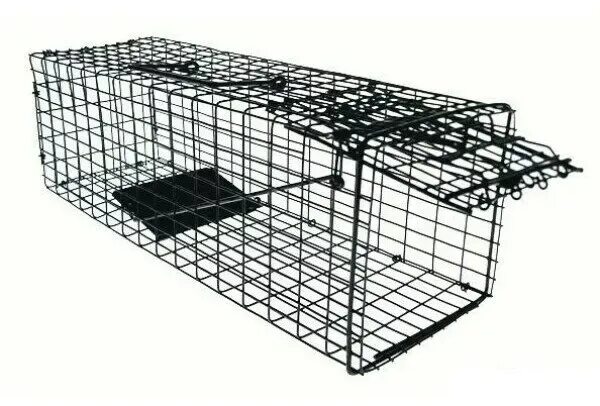 Котоловка для кошек фото Клетка-ловушка для кошек wikiVET КЛ-8 купить в Москве