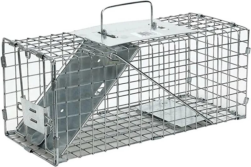 Котоловка для кошек фото Amazon.com: Havahart Raccoon Trap