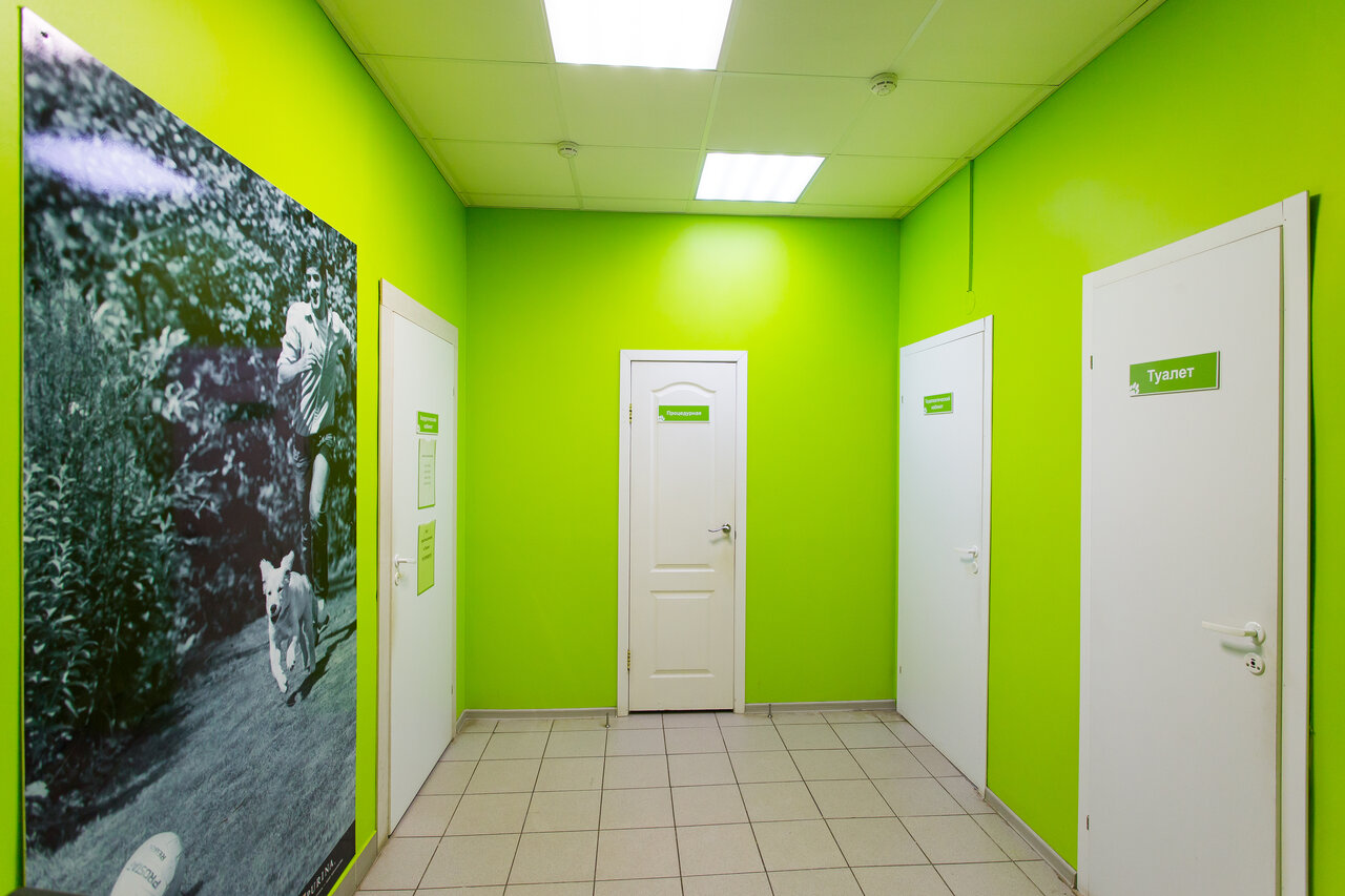Котонай линейная ул 20 завокзальный район фото Photo: Kotonay, veterinary clinic, Великий Новгород, Завокзальный район, Линейна