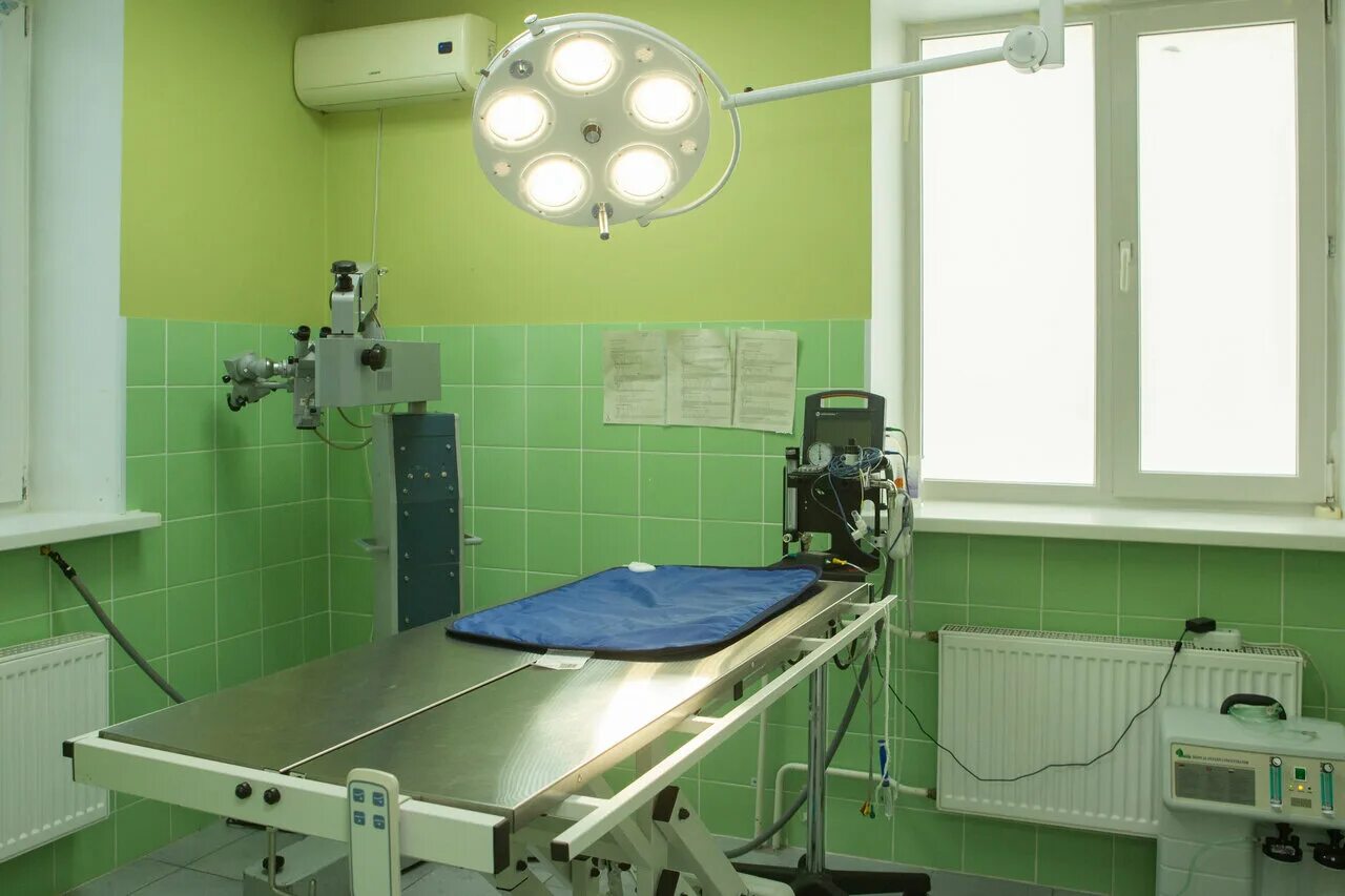 Котонай линейная ул 20 завокзальный район фото Kotonay, veterinary clinic, Великий Новгород, Завокзальный район, Линейная улица