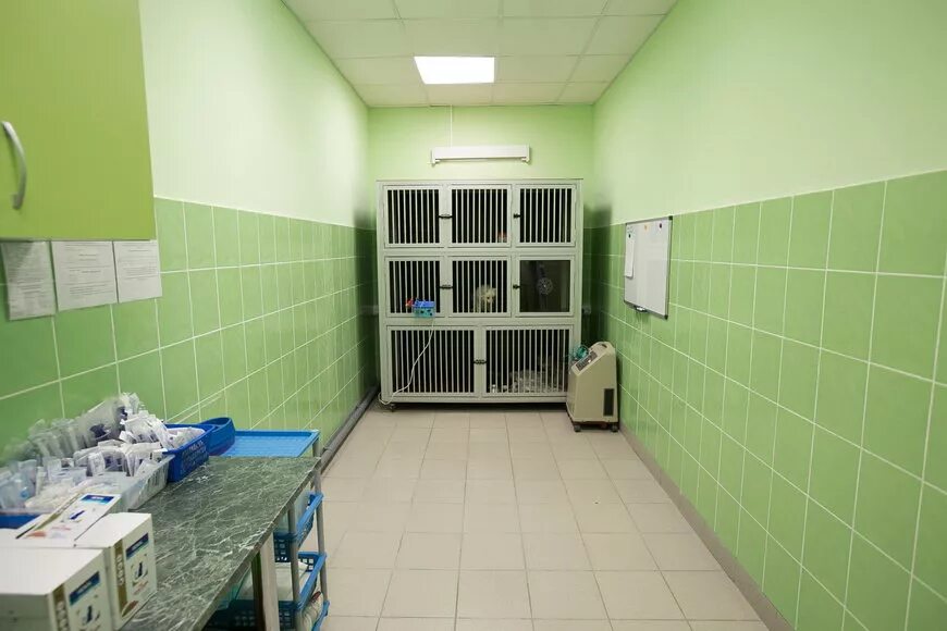 Котонай линейная ул 20 завокзальный район фото Инфекционный стационар для животных в ветеринарных центрах "Котонай"