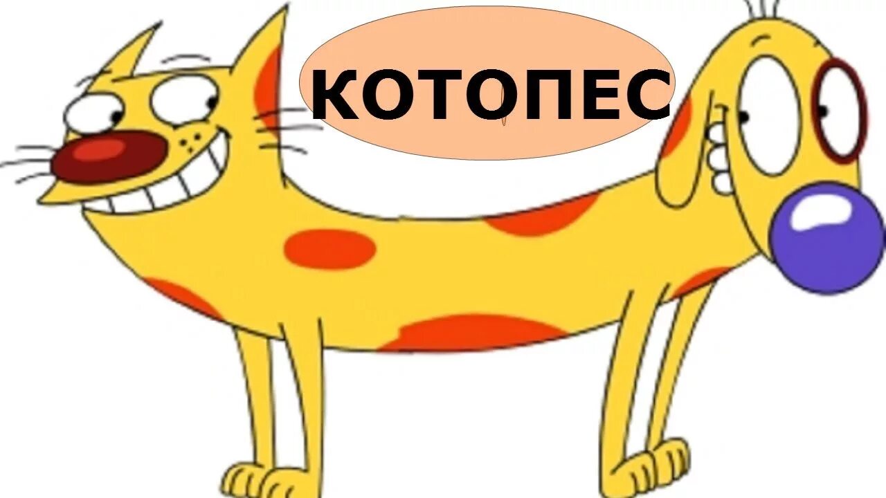 Котопес ул генерала буткова 1 фото КОТОПЕС И ПЕСОКОТ - YouTube
