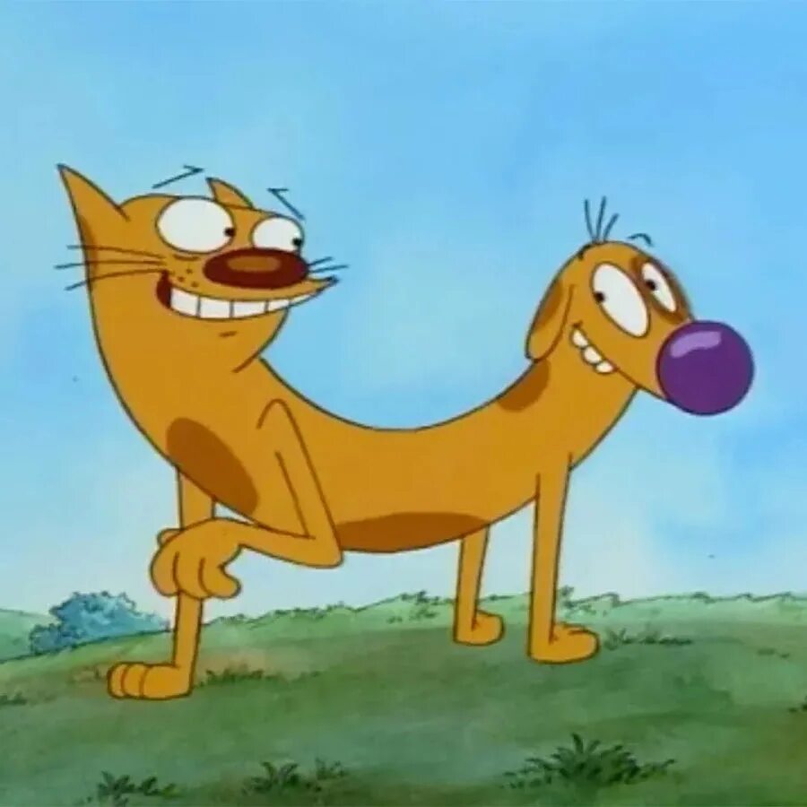 Котопес ул генерала буткова 1 фото Cat Dog - YouTube