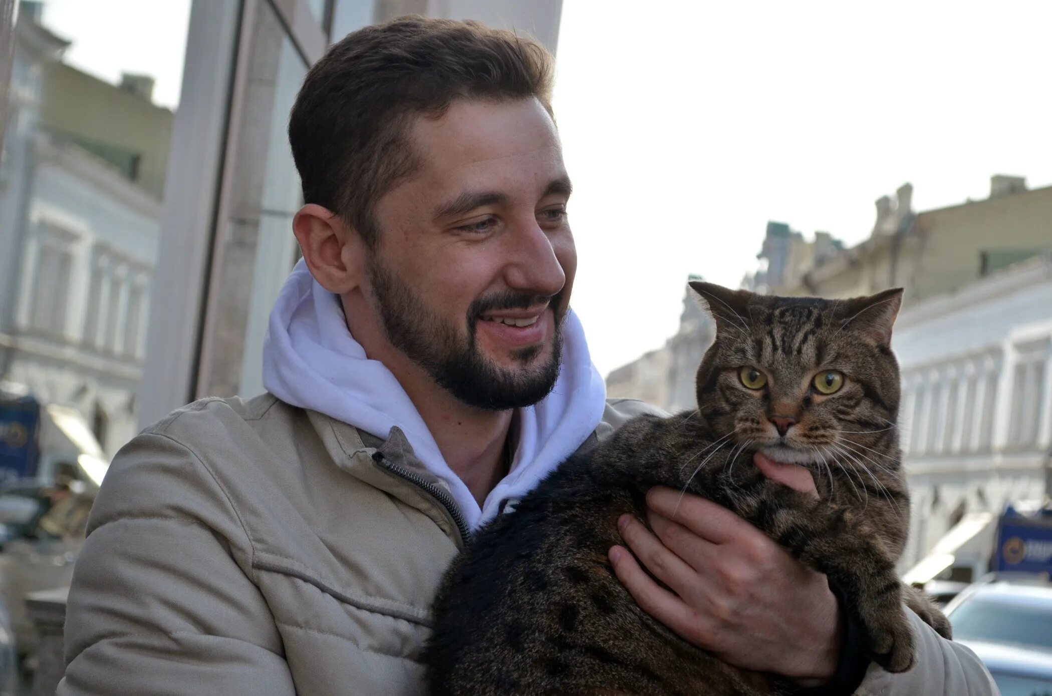 Котов актер фото В Казань приехал знаменитый кот Виктор: худеть он не планирует - Новости Казани 