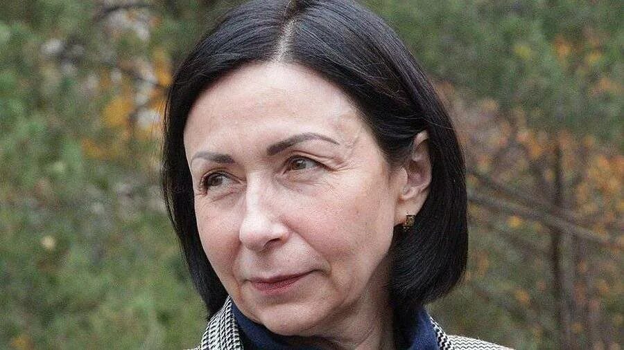 Котова мэр челябинска фото У мэра Челябинска диагностировали пневмонию Новости