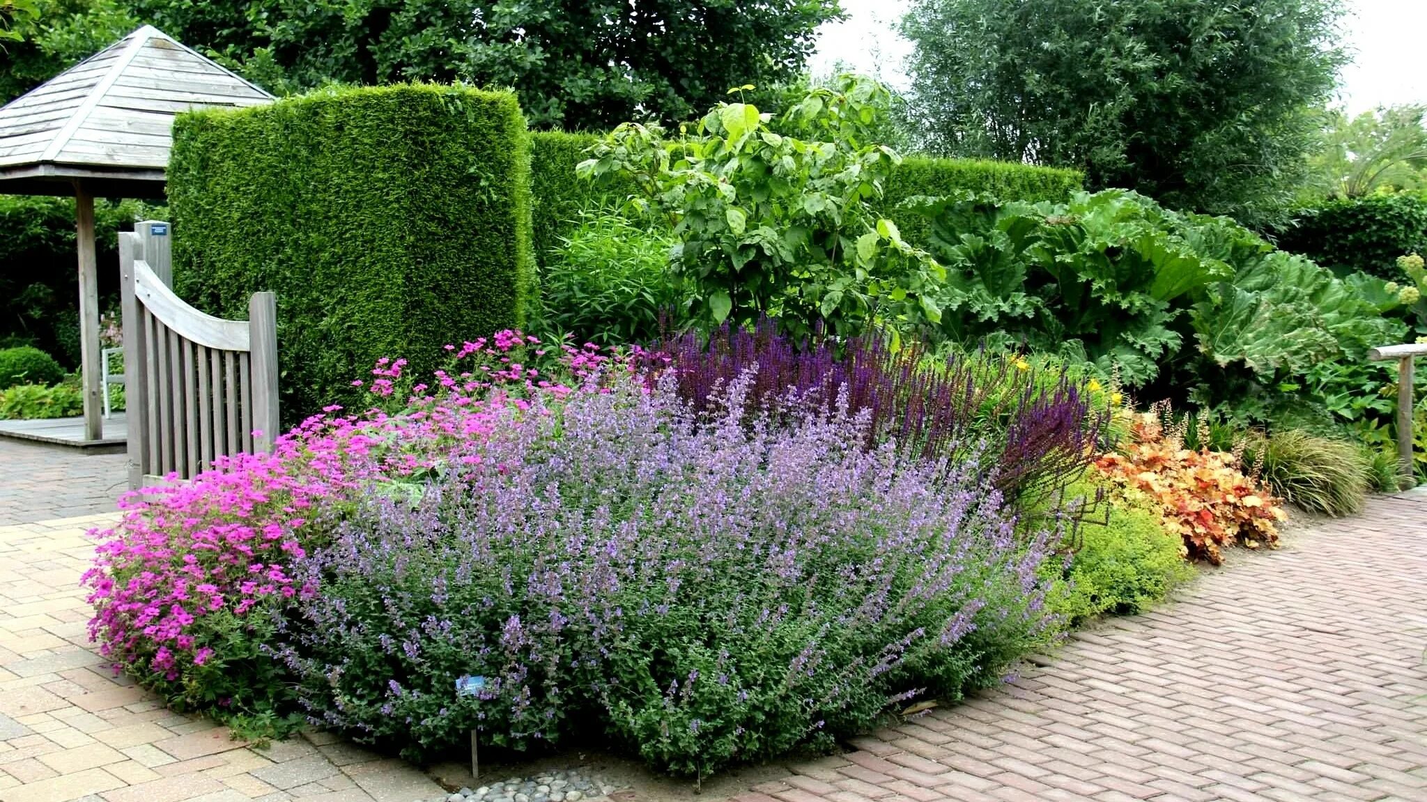Котовник в ландшафтном дизайне 50+ Классных Идей для Украшения Сада / Garden design and decoration ideas / A - 