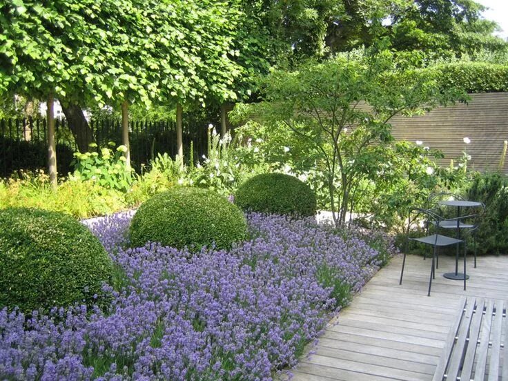 Котовник в ландшафтном дизайне garden Sloped garden, Garden planning, Cottage garden