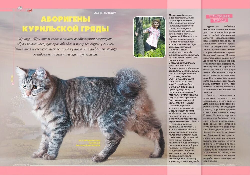 Коты бобтейлы фото описание Купить журнал № 07-08.2016 (Кошки.info) в интернет магазине c доставкой по всей 
