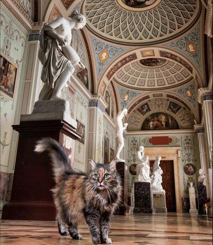 Коты эрмитажа фото Pin on Buster & Coco Hermitage museum, Hermitage, Cats