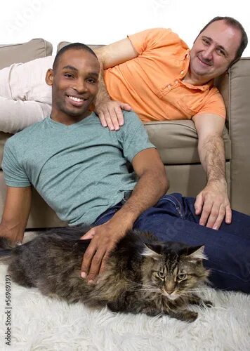 Коты геи фото two gay lovers relaxing at home in the livingroom Stock Photo Adobe Stock