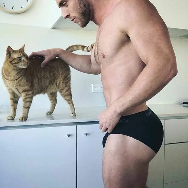 Коты геи фото Pin on Bubble butt